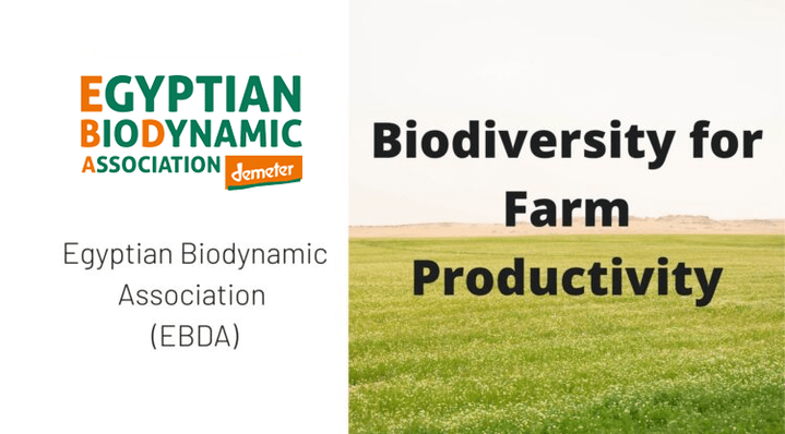 Biodiversity for Farm Productivity