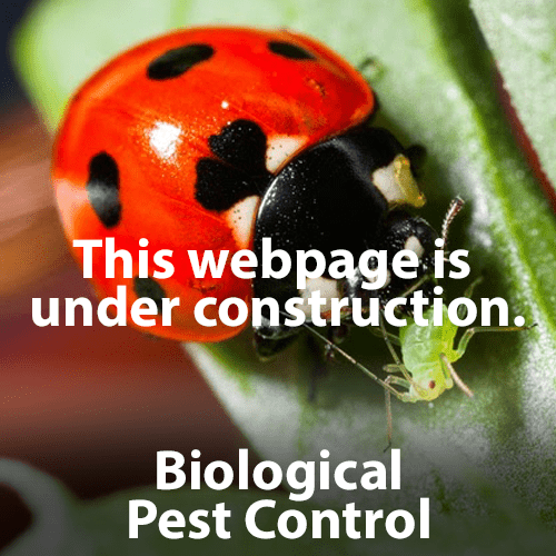 Biological_Pest Control