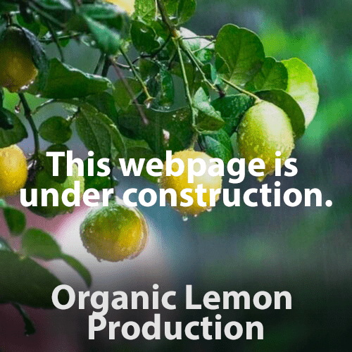 Organic Lemon production