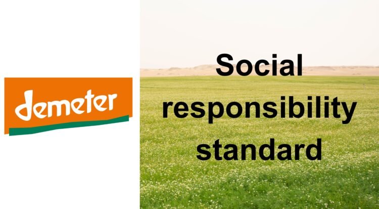 Social responsibility standard (Arabic version)