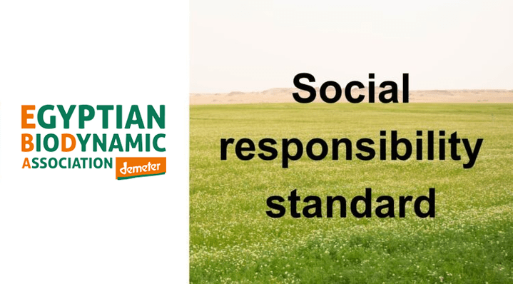 Social responsibility standard