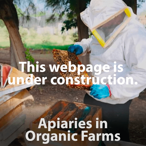Apiaries-in-Organic-Farms