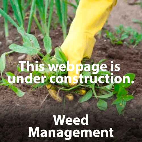 Weed Management_