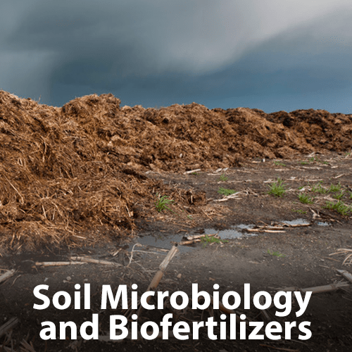 soil microbiology and biofertilizers